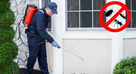Elmalı Bit İlaçlama böcek ilaçlama ve haşere kontrolü — ilaclama-tr.com